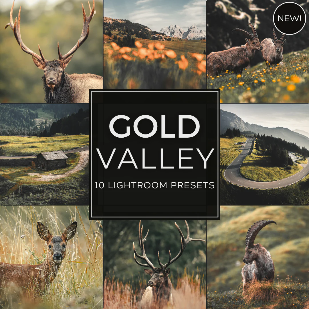 Newest Lightroom Packs