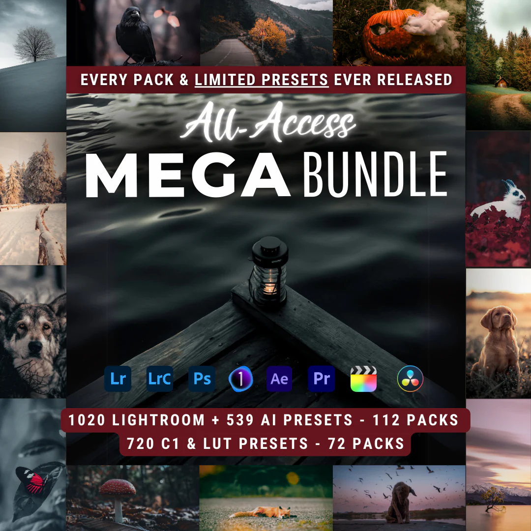 Save With Bundles