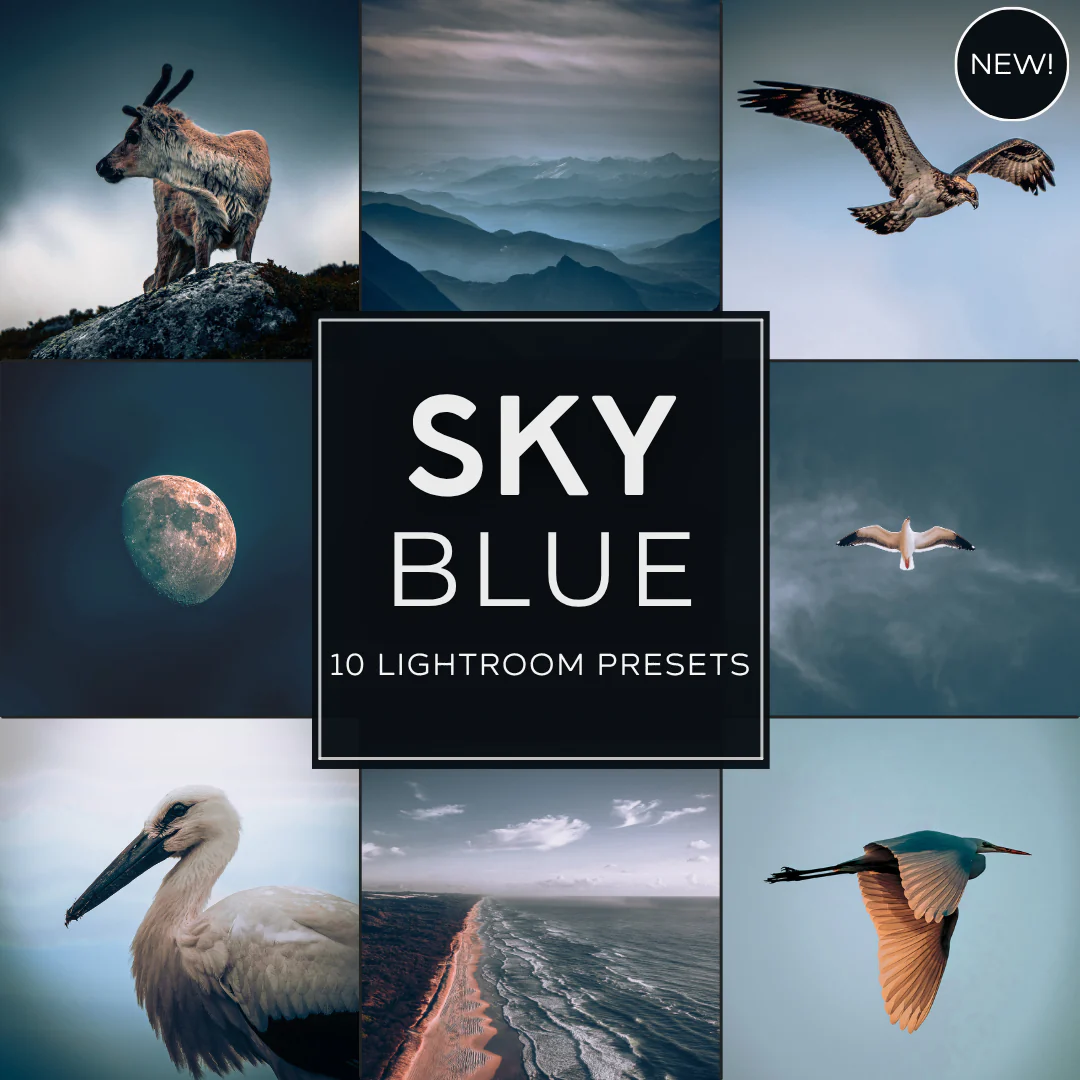 Best-Selling (No Bundle)